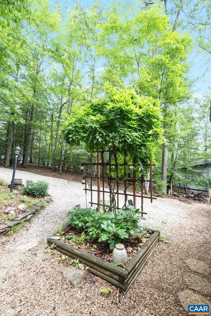19 Piedmont Ln photo 6