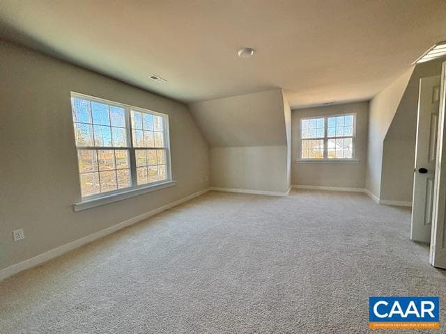 53 Porkchop Ct photo 21
