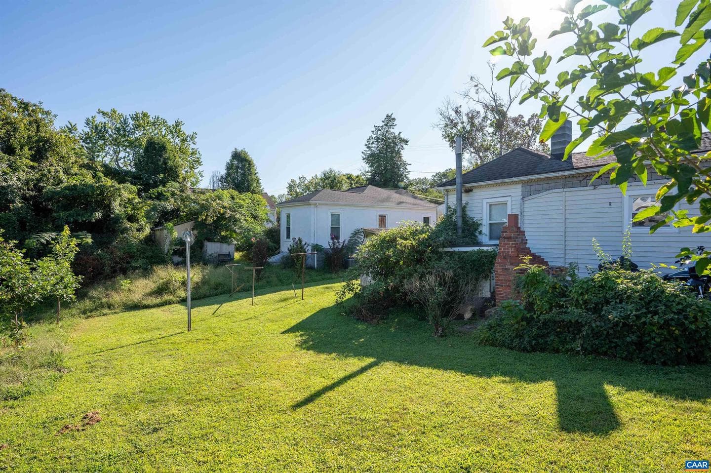 1101 Forest St photo 17