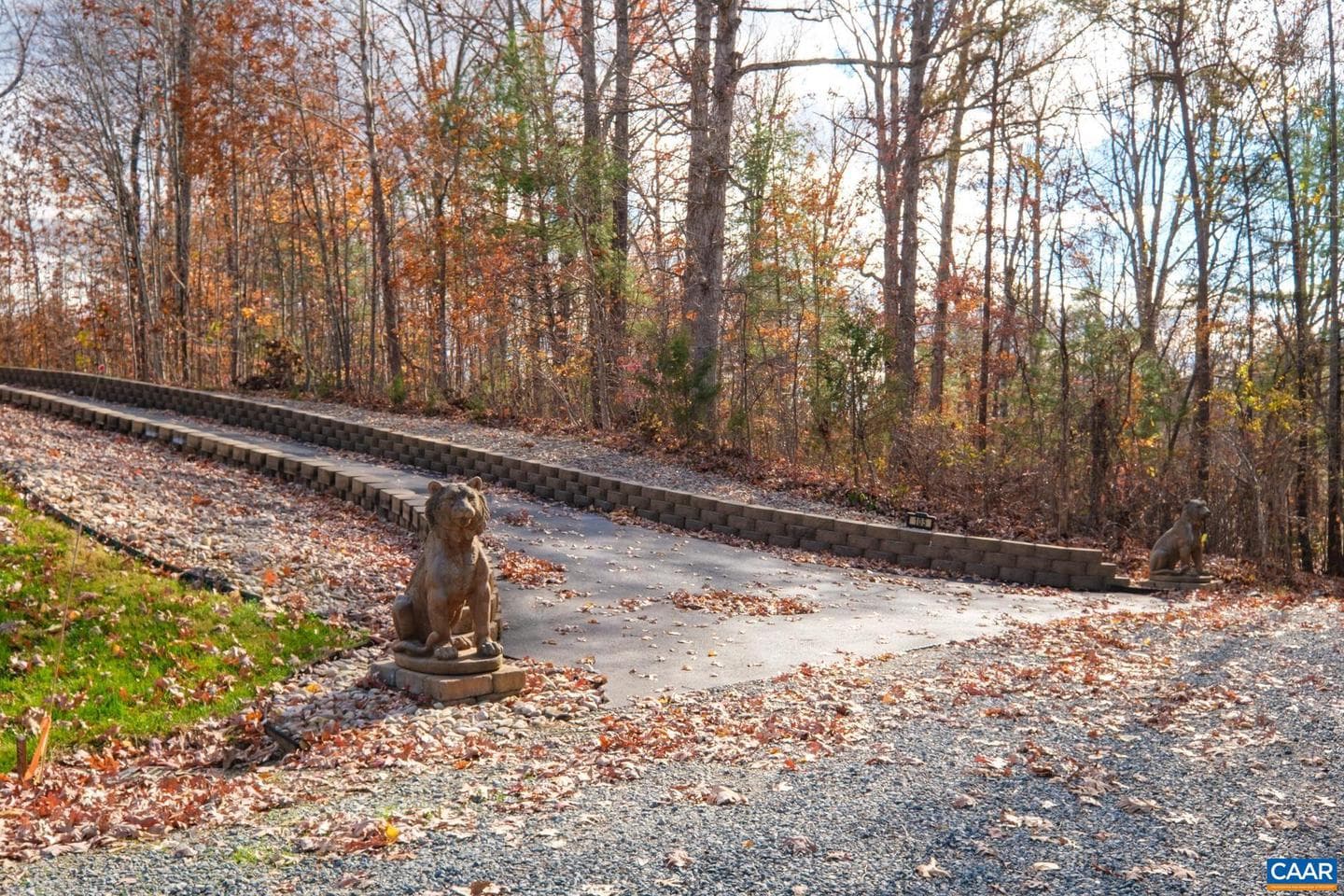 105 Squirrel Path photo 13