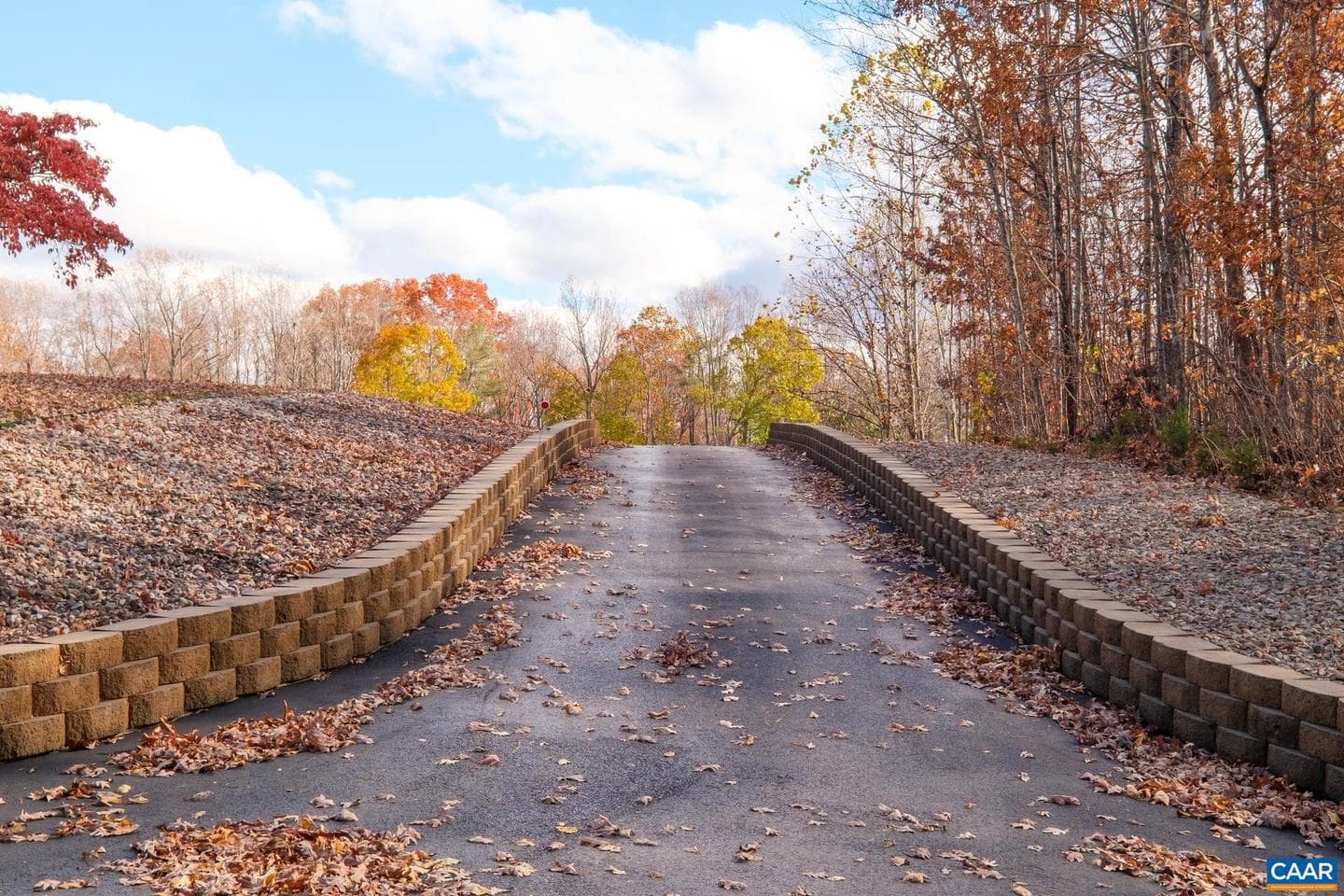 105 Squirrel Path photo 14