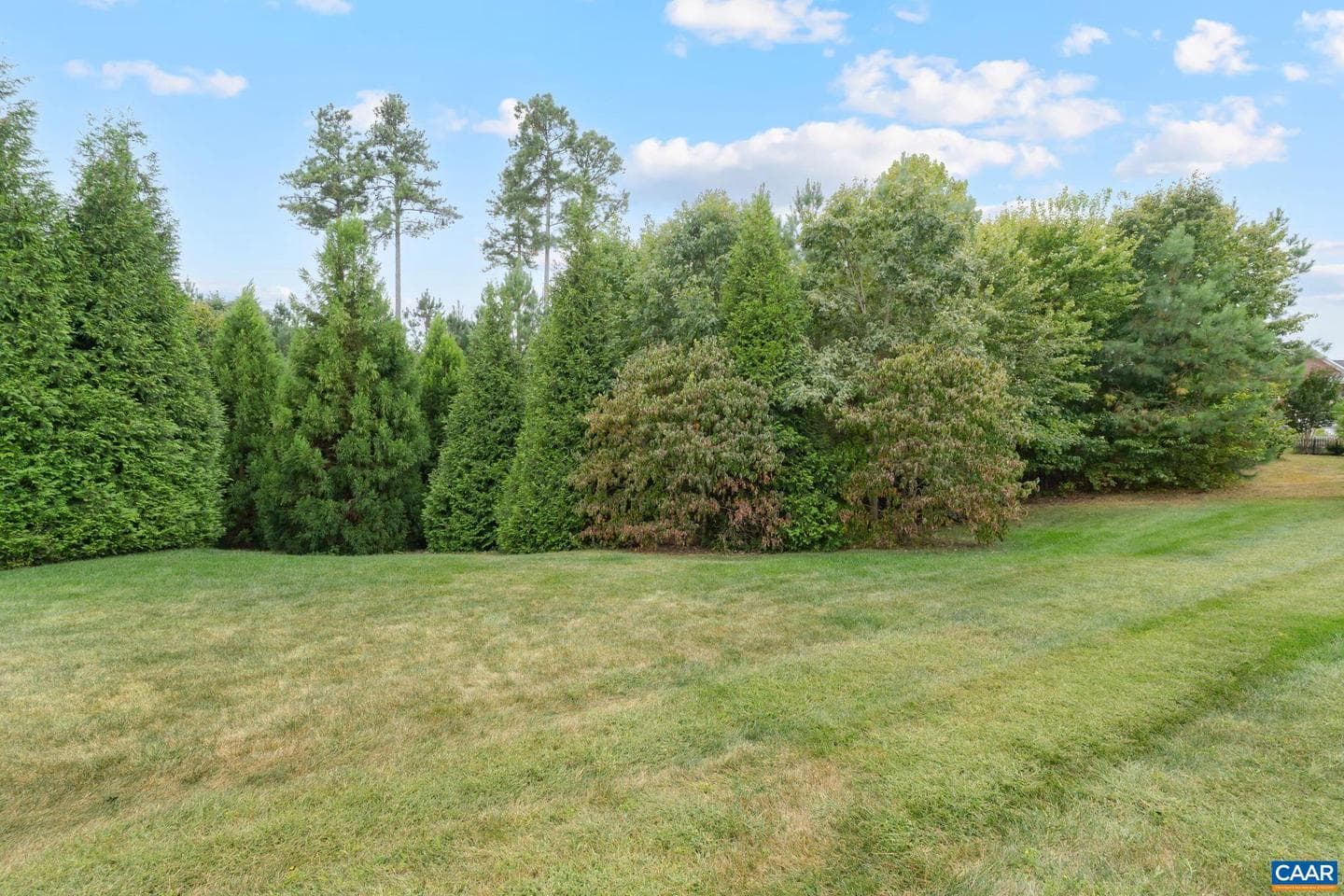 3 Forest Ct photo 43