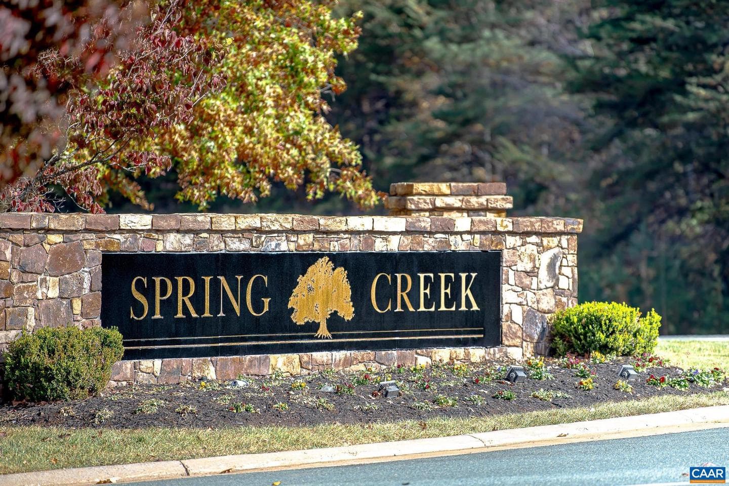 29 Wood Duck Ln photo 72