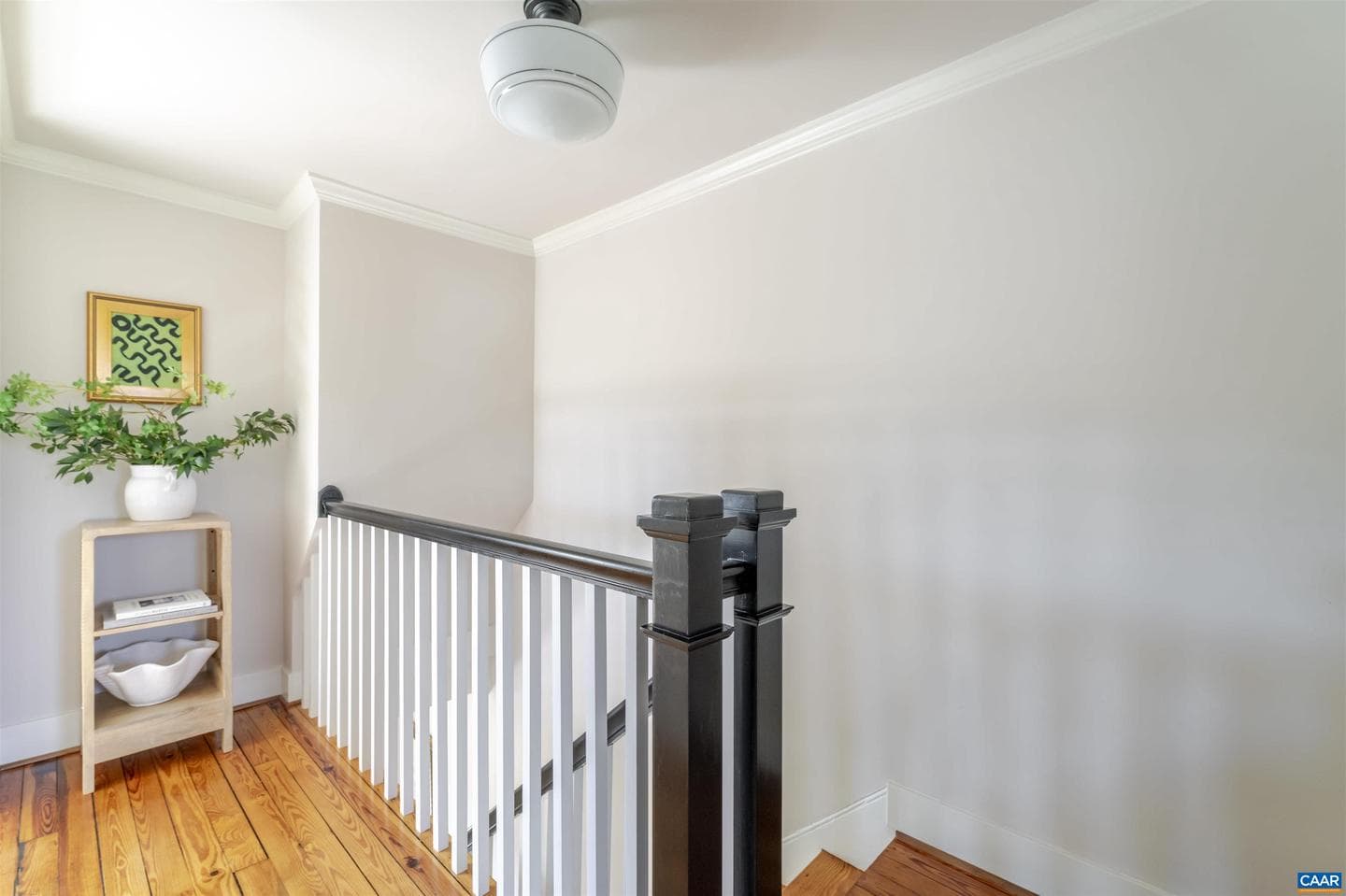 1107 Myrtle St photo 22