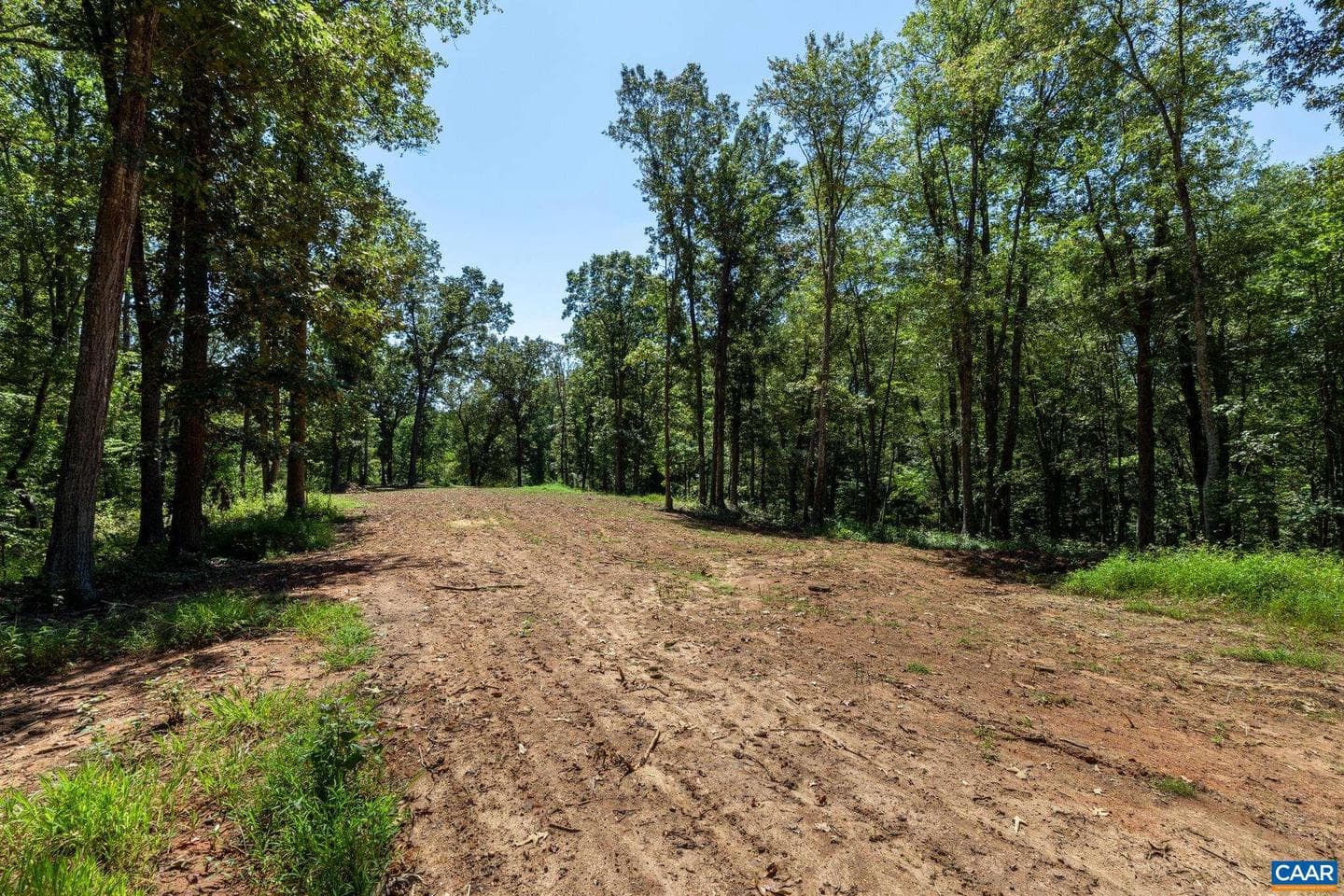 12 Langdon Woods Dr photo 63