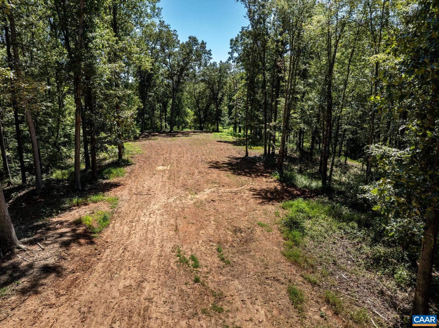 12 Langdon Woods Dr photo 64