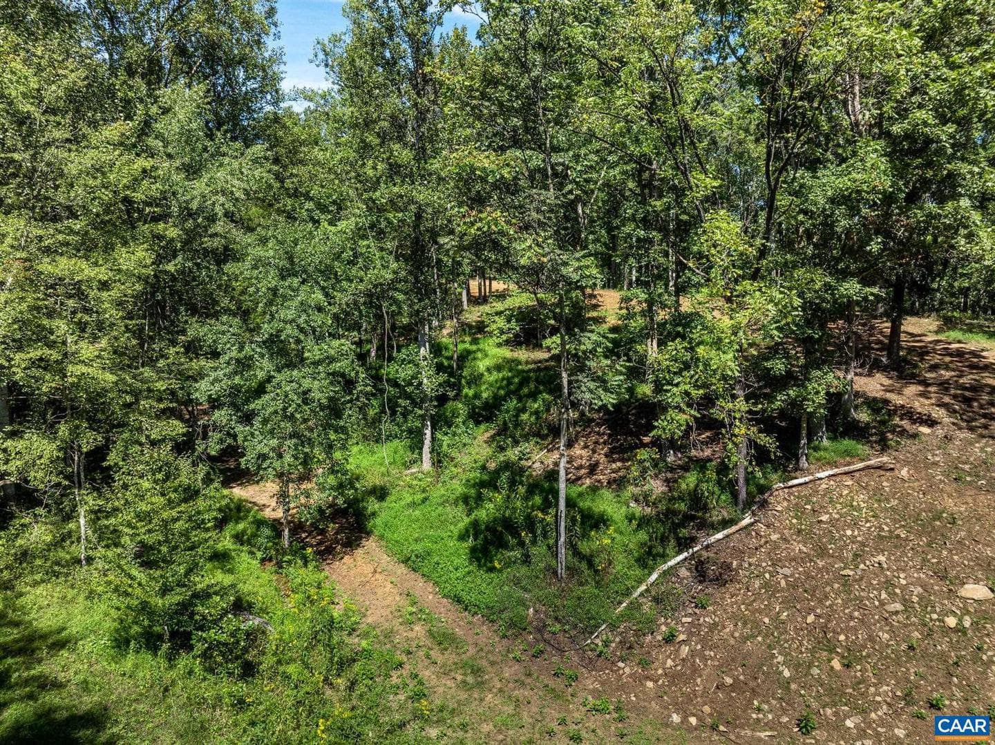 12 Langdon Woods Dr photo 67