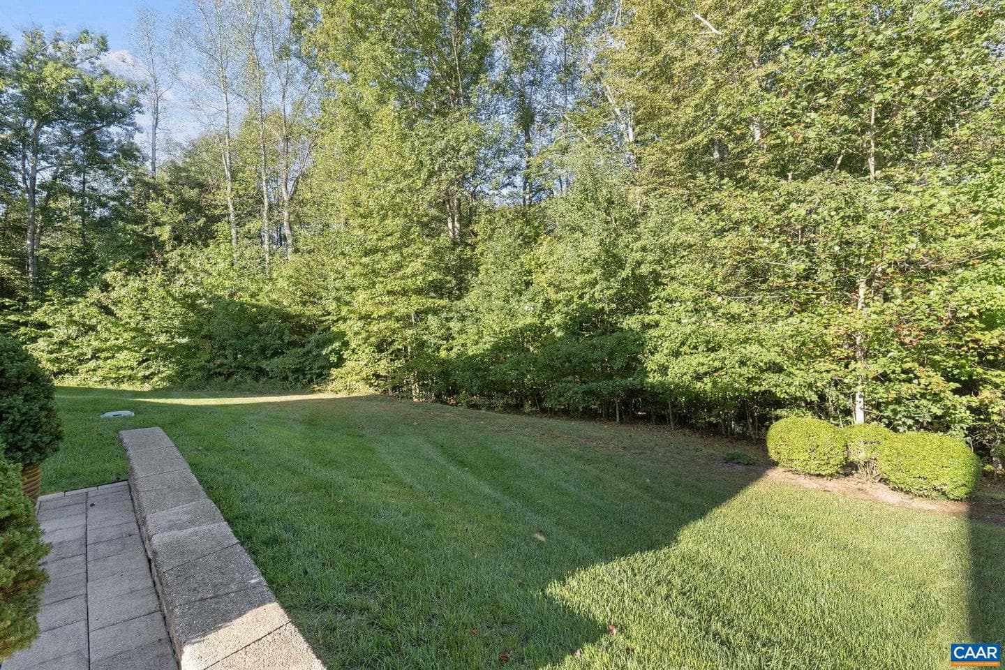 209 Timber Ridge Ln photo 3