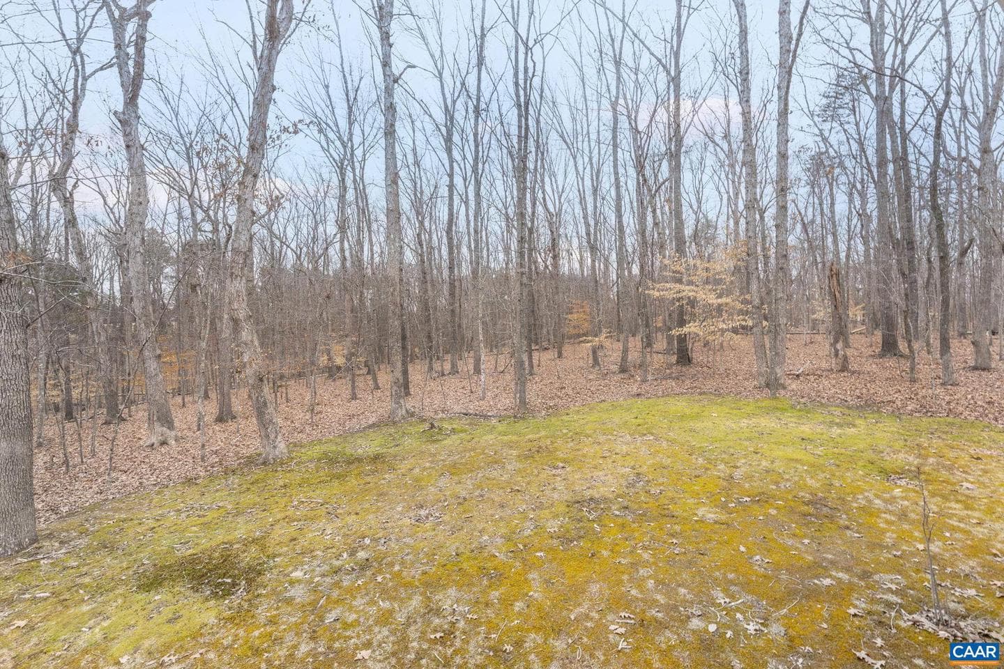 22 Bridlewood Dr photo 41