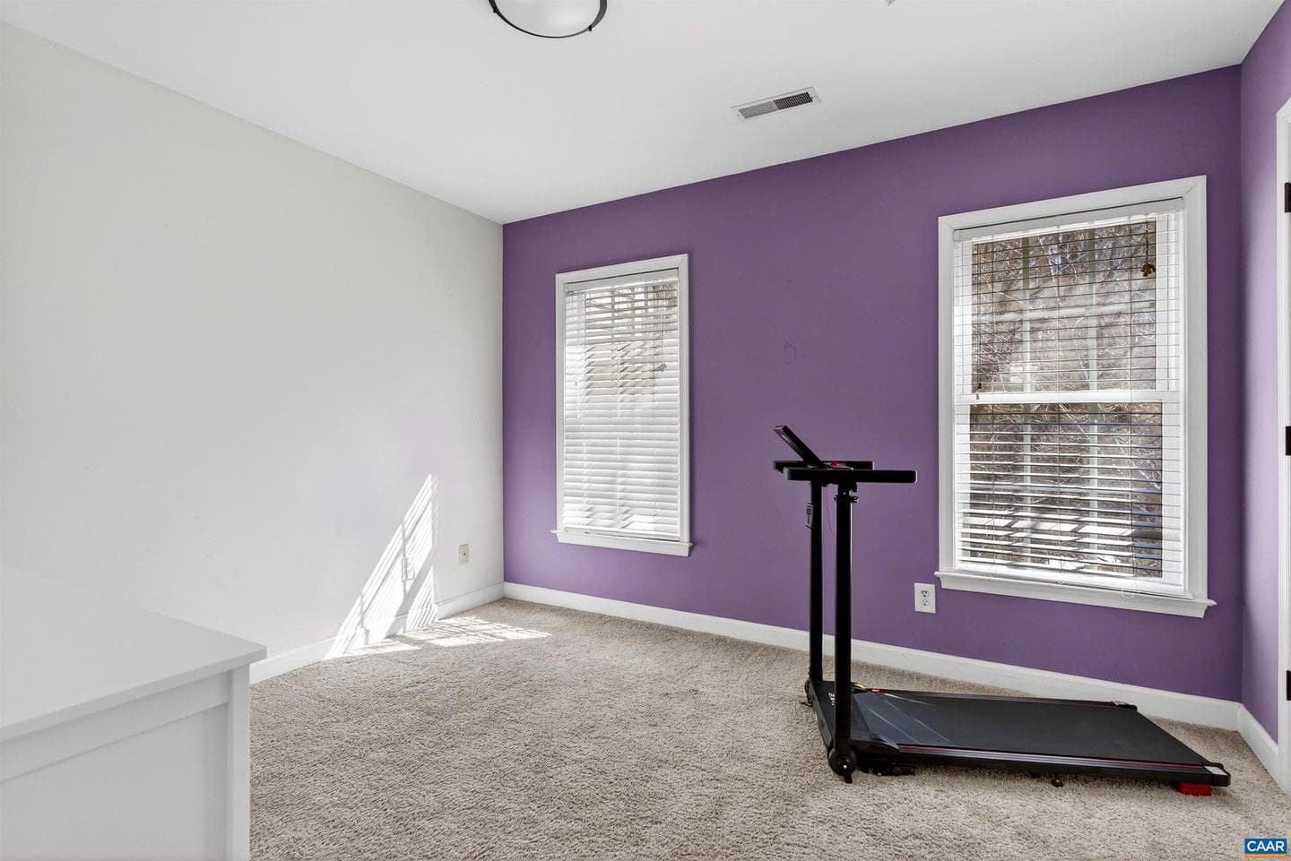 1069 Bristlecone Ln photo 24