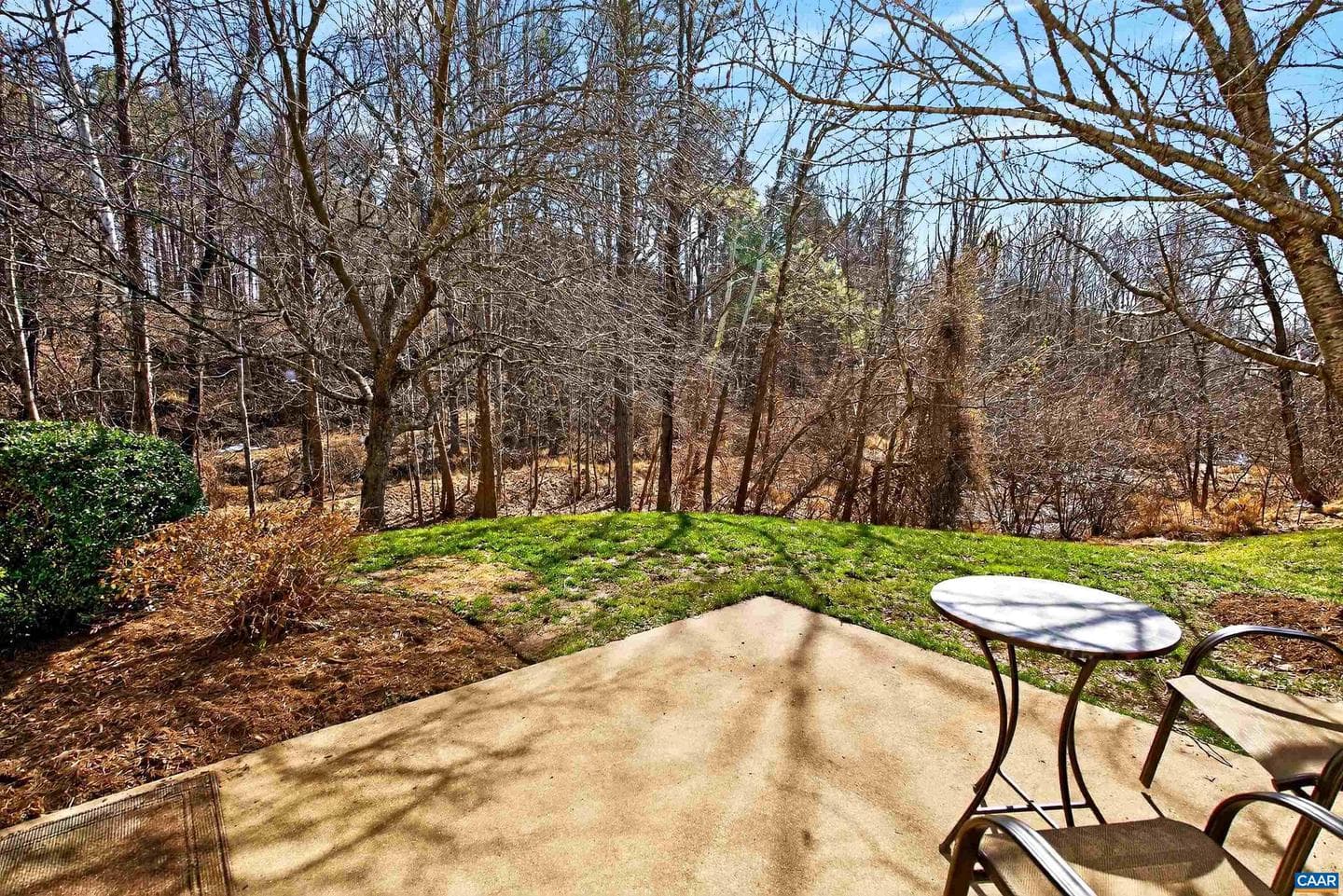 1069 Bristlecone Ln photo 27