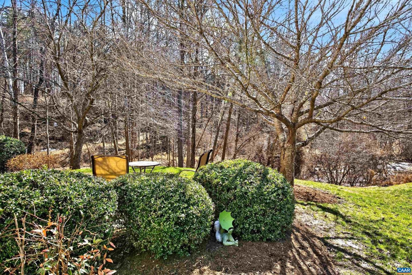 1069 Bristlecone Ln photo 30