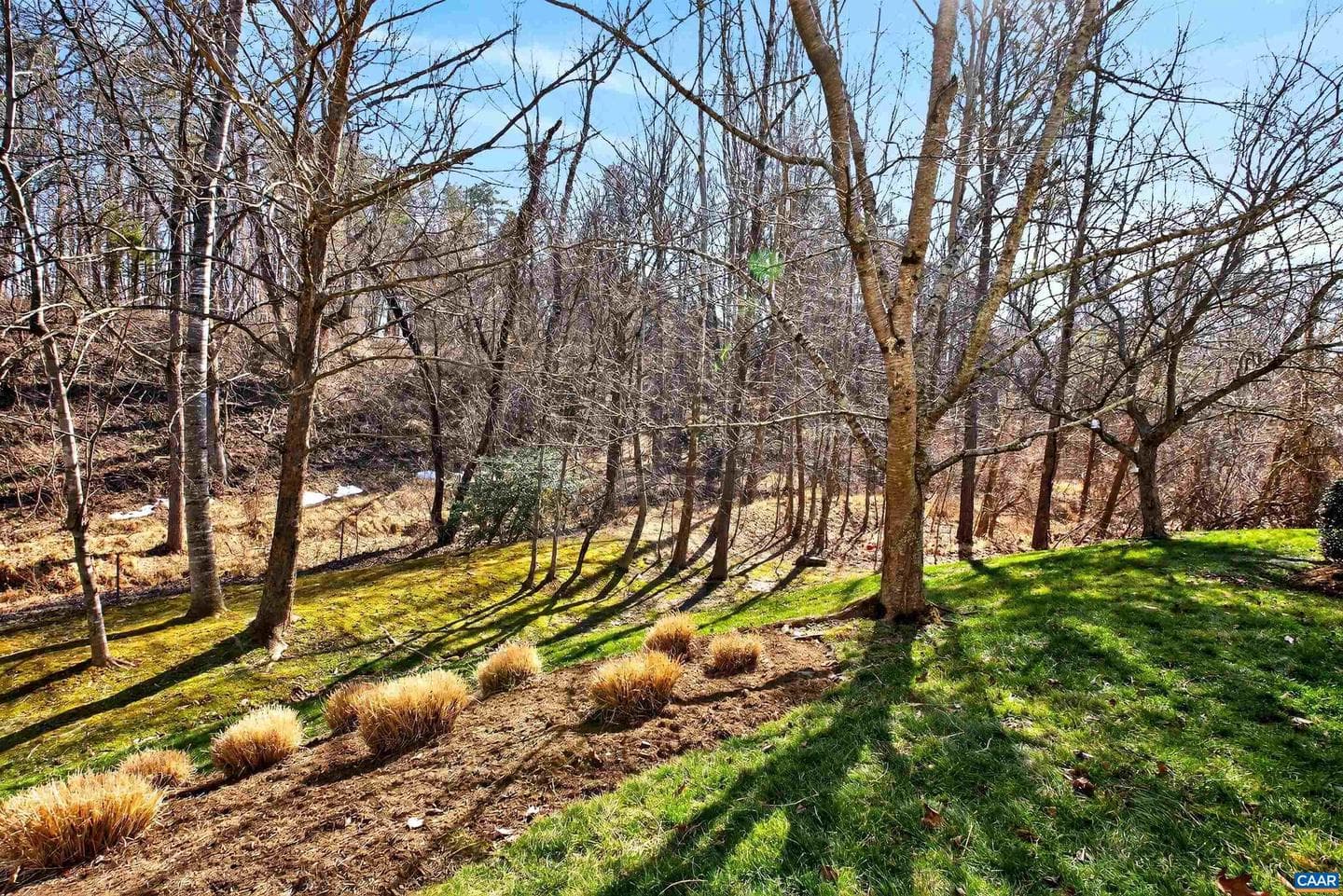 1069 Bristlecone Ln photo 32
