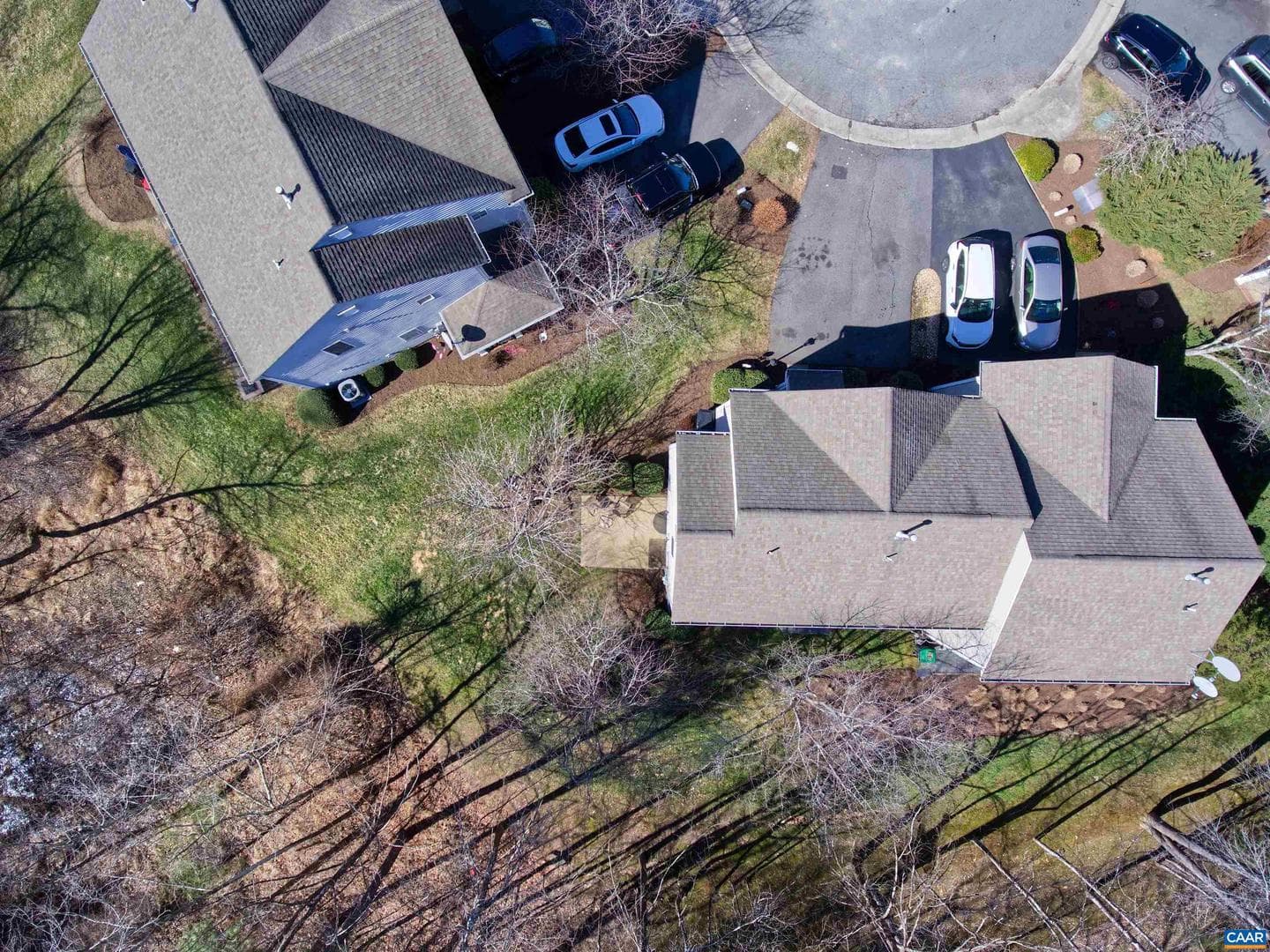 1069 Bristlecone Ln photo 33