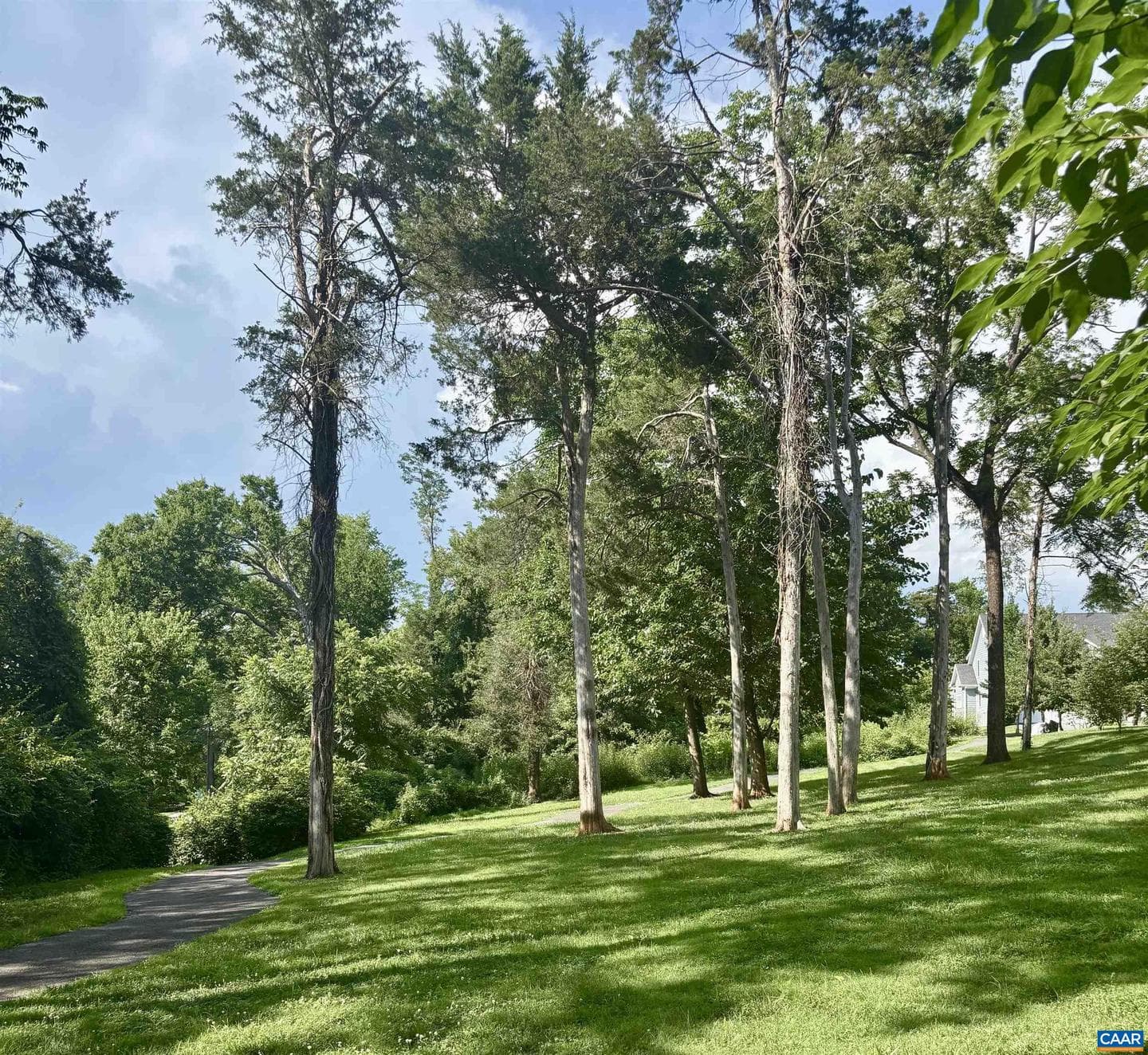 528 Trailside Dr photo 45