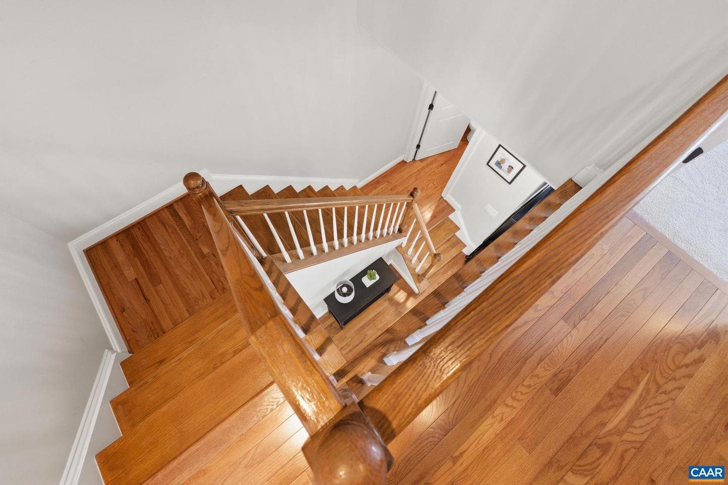 506 Tulip Tree Ct photo 27