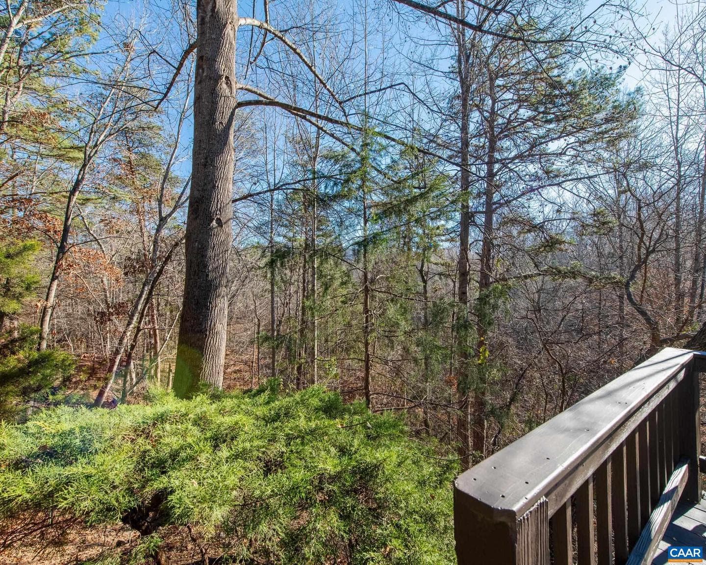 1381 Gristmill Dr photo 23