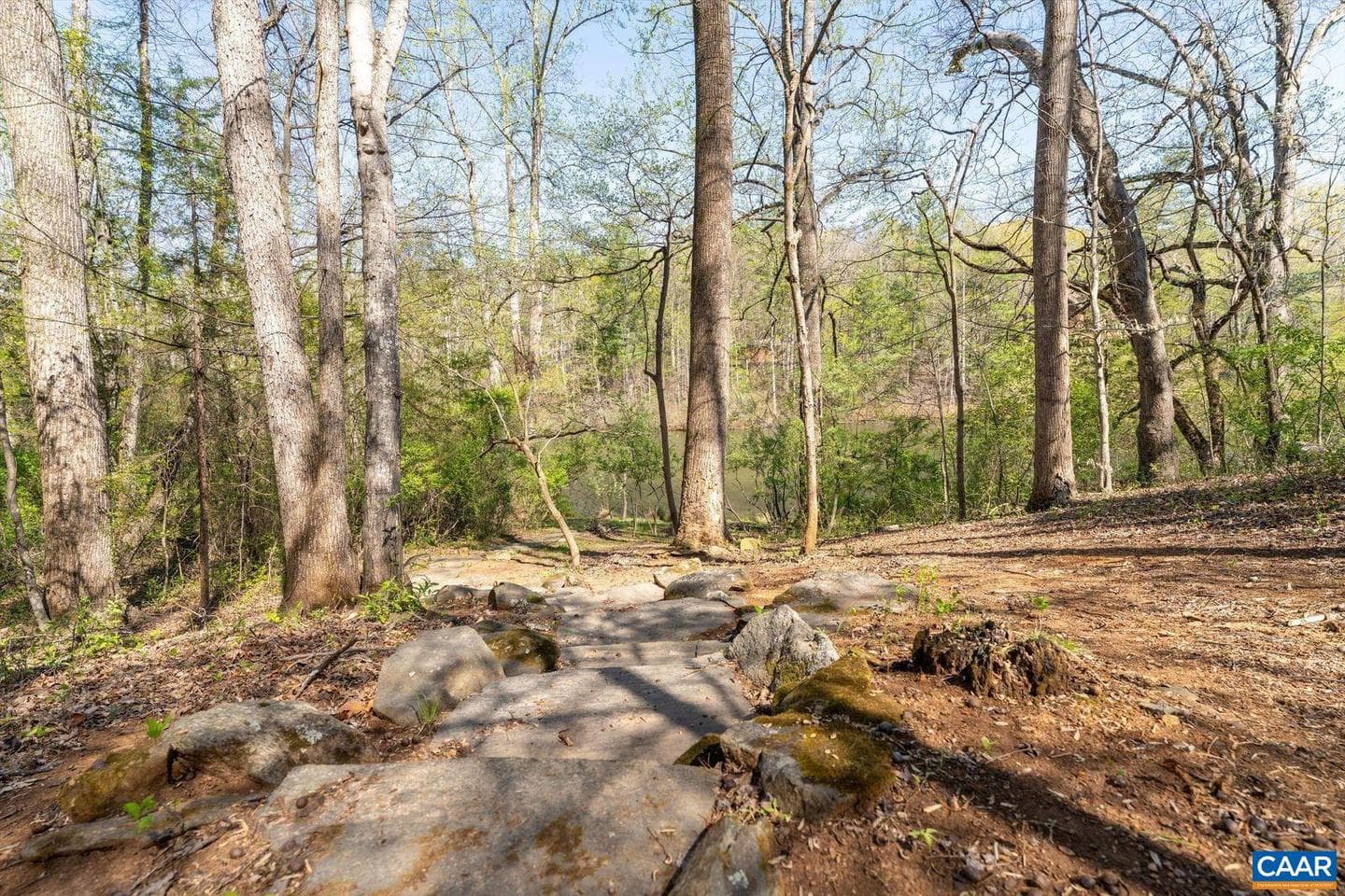 336 Bear Run Rd photo 56