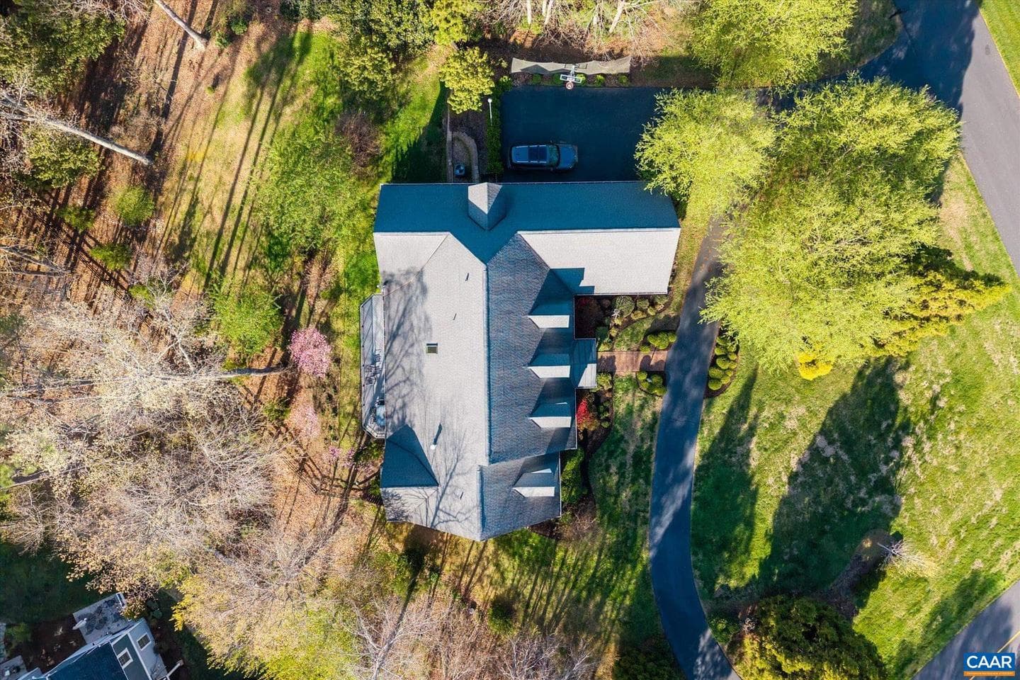 1813 Westerham St photo 5