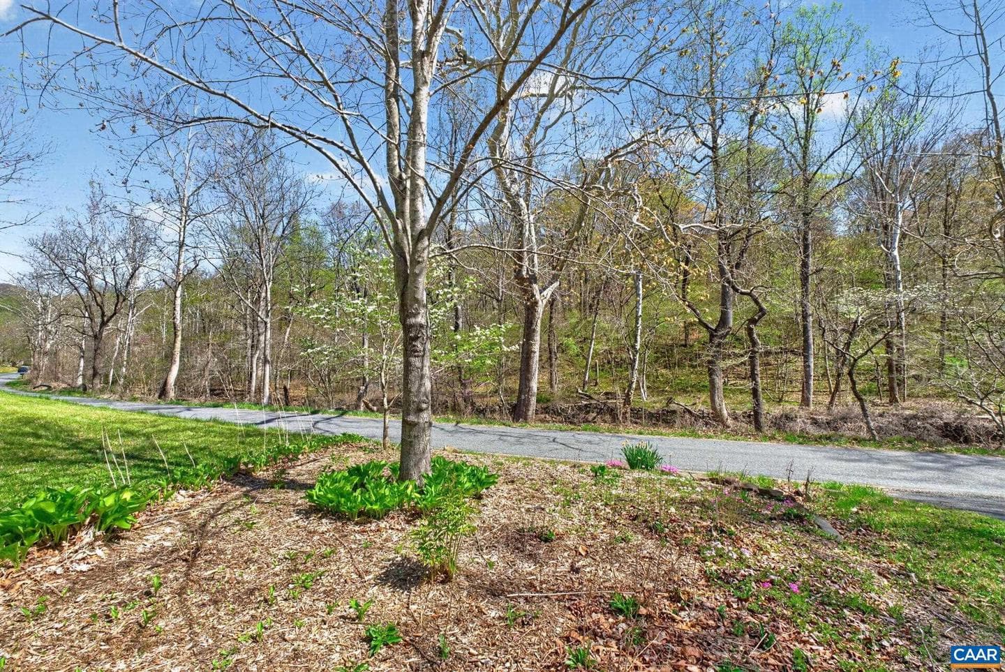 689 Mutton Hollow Rd photo 26