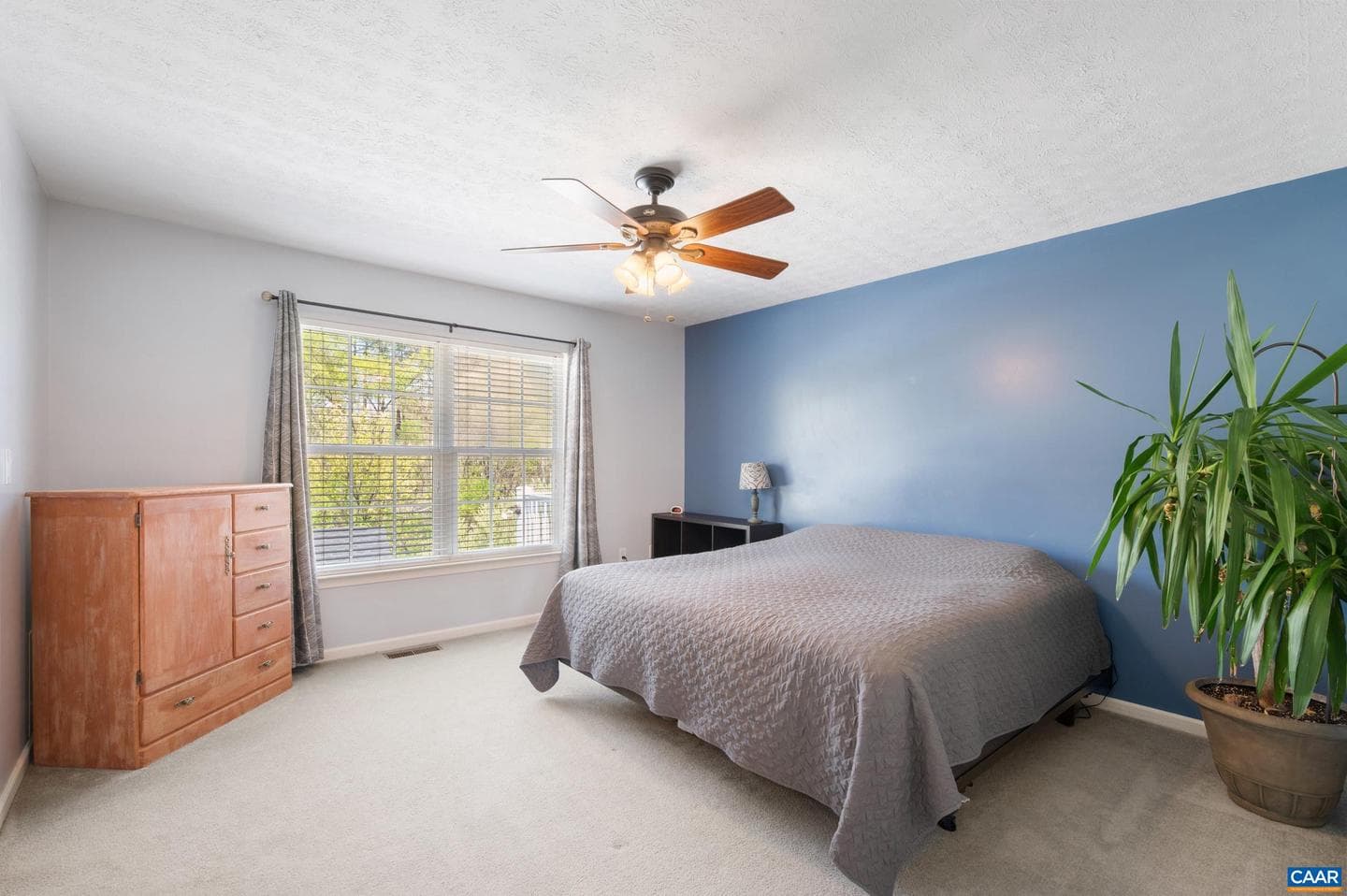 225 Mayfield Ln photo 15