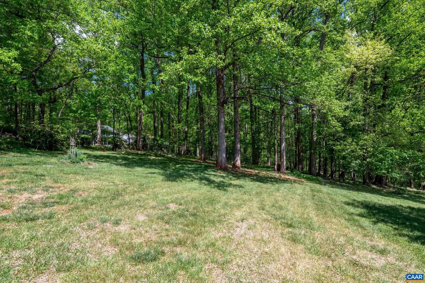 165 Walnut Ln photo 59