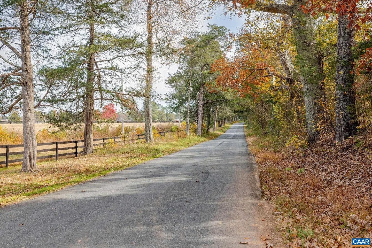 21 Acres Tbb Coles Rolling Rd, Scottsville