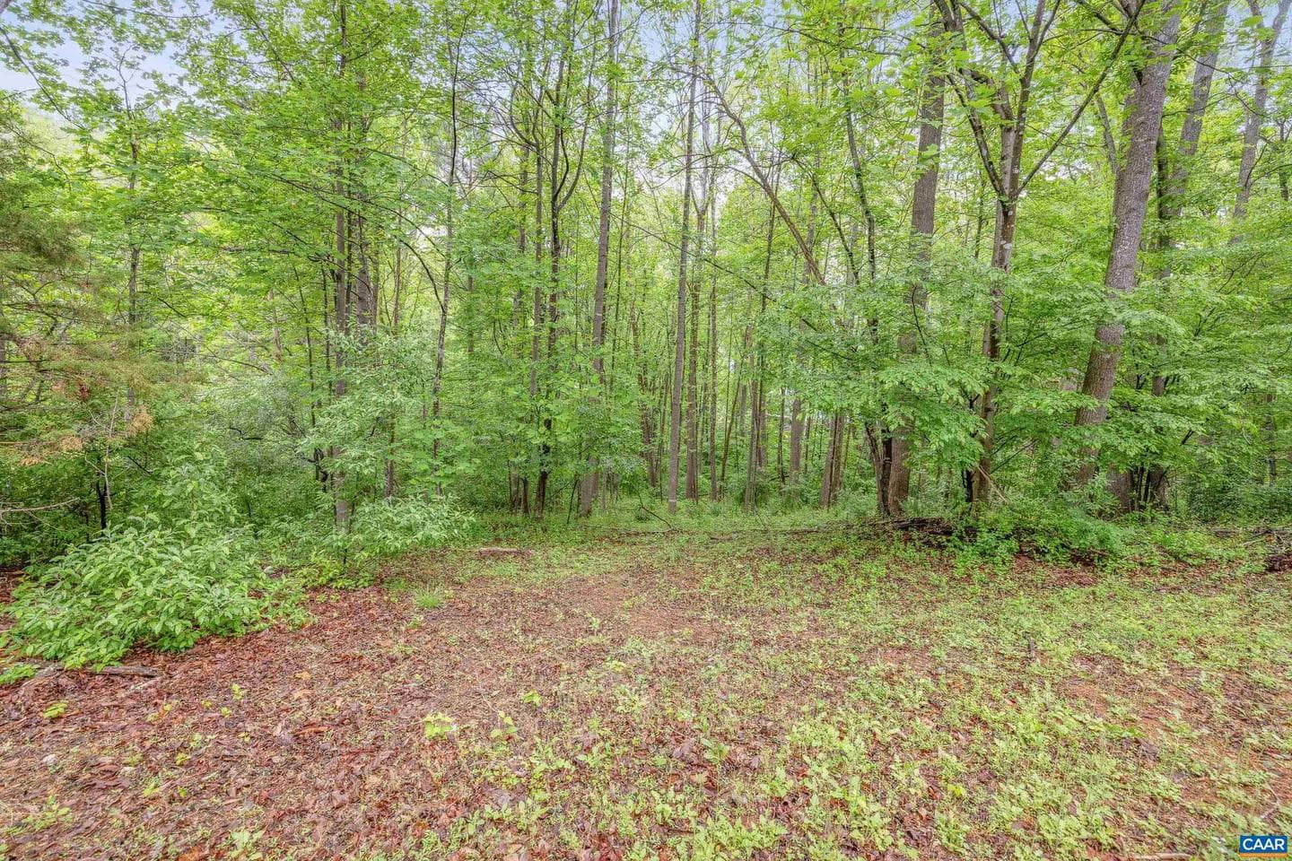 1621 Shady Grove Ct photo 46