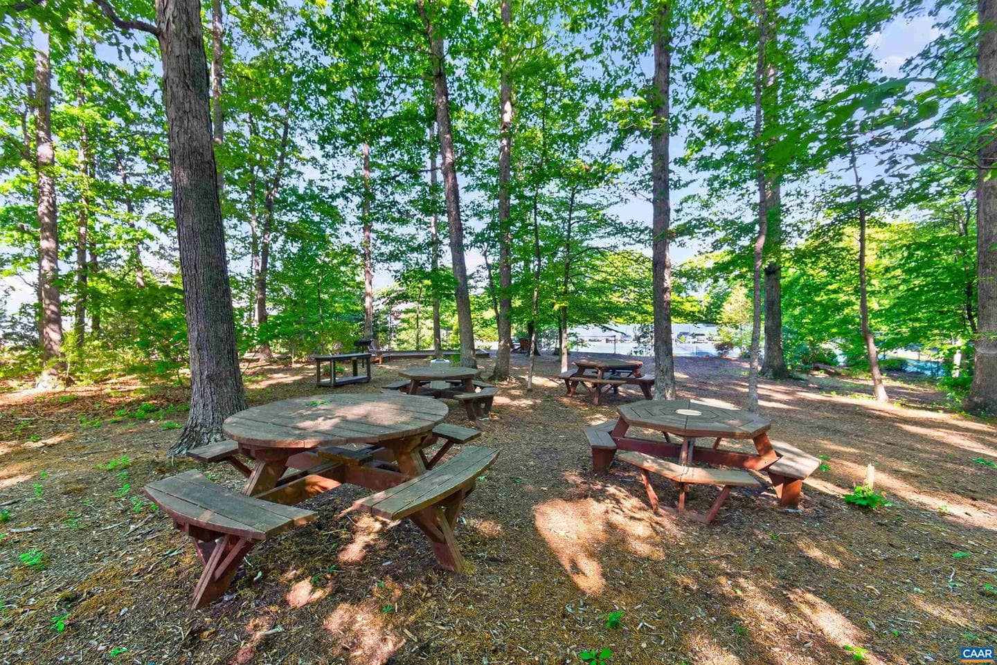 64 Blue Ridge Ter photo 52