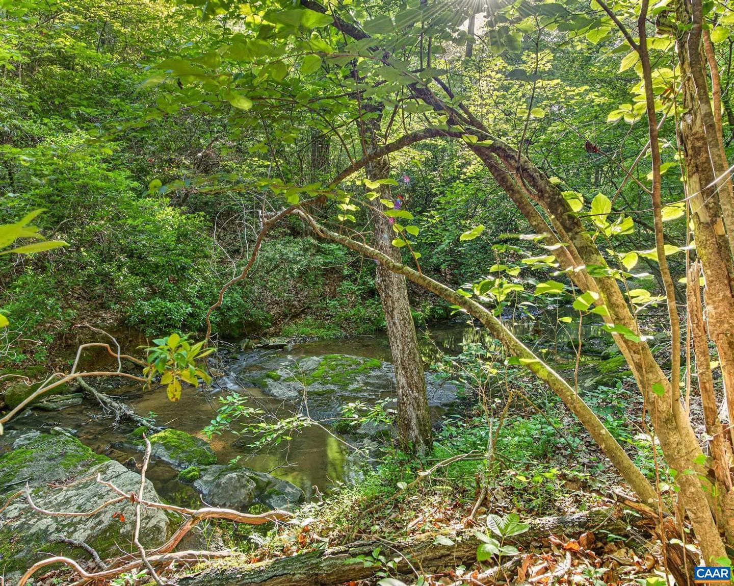 2200 Rocky Run photo 54