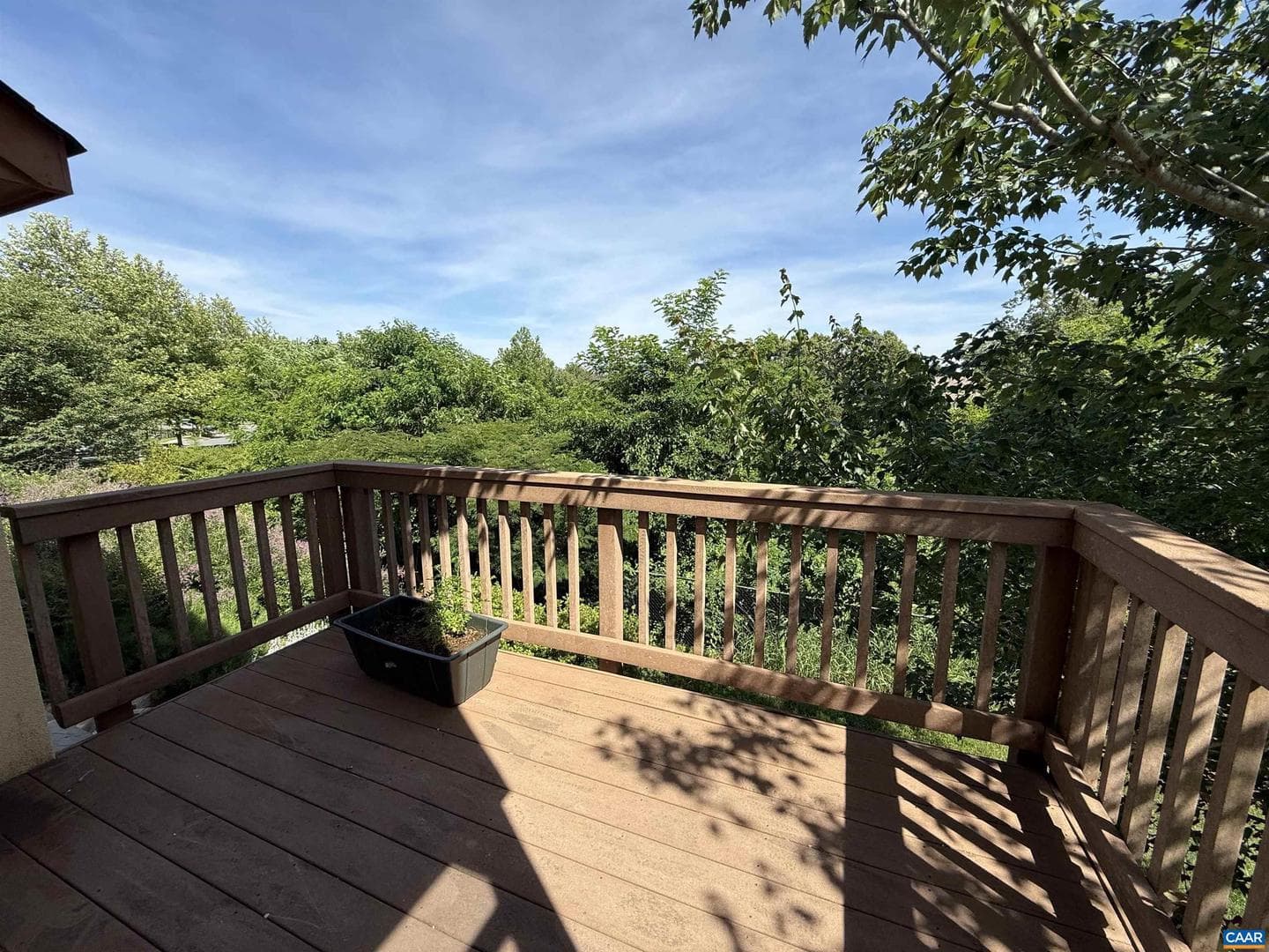 507 Tyree Ln photo 15