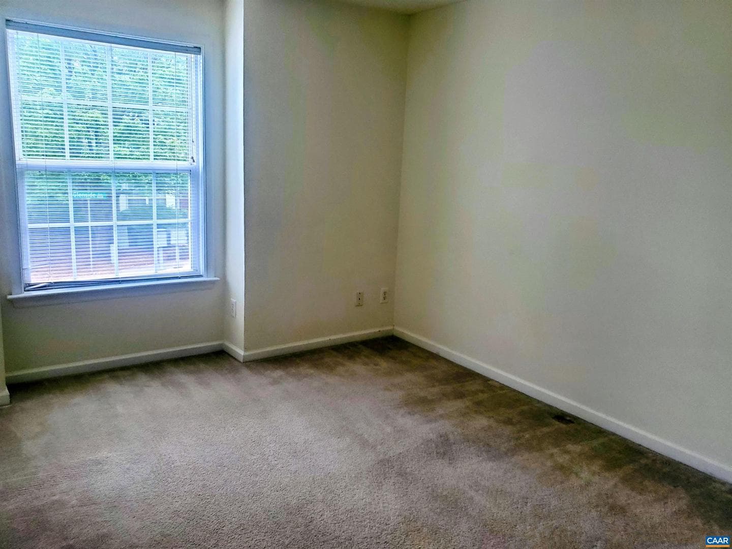 1408 Glenside Green photo 22