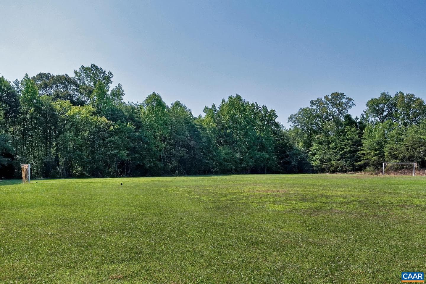 14 Shiloh Ct photo 47