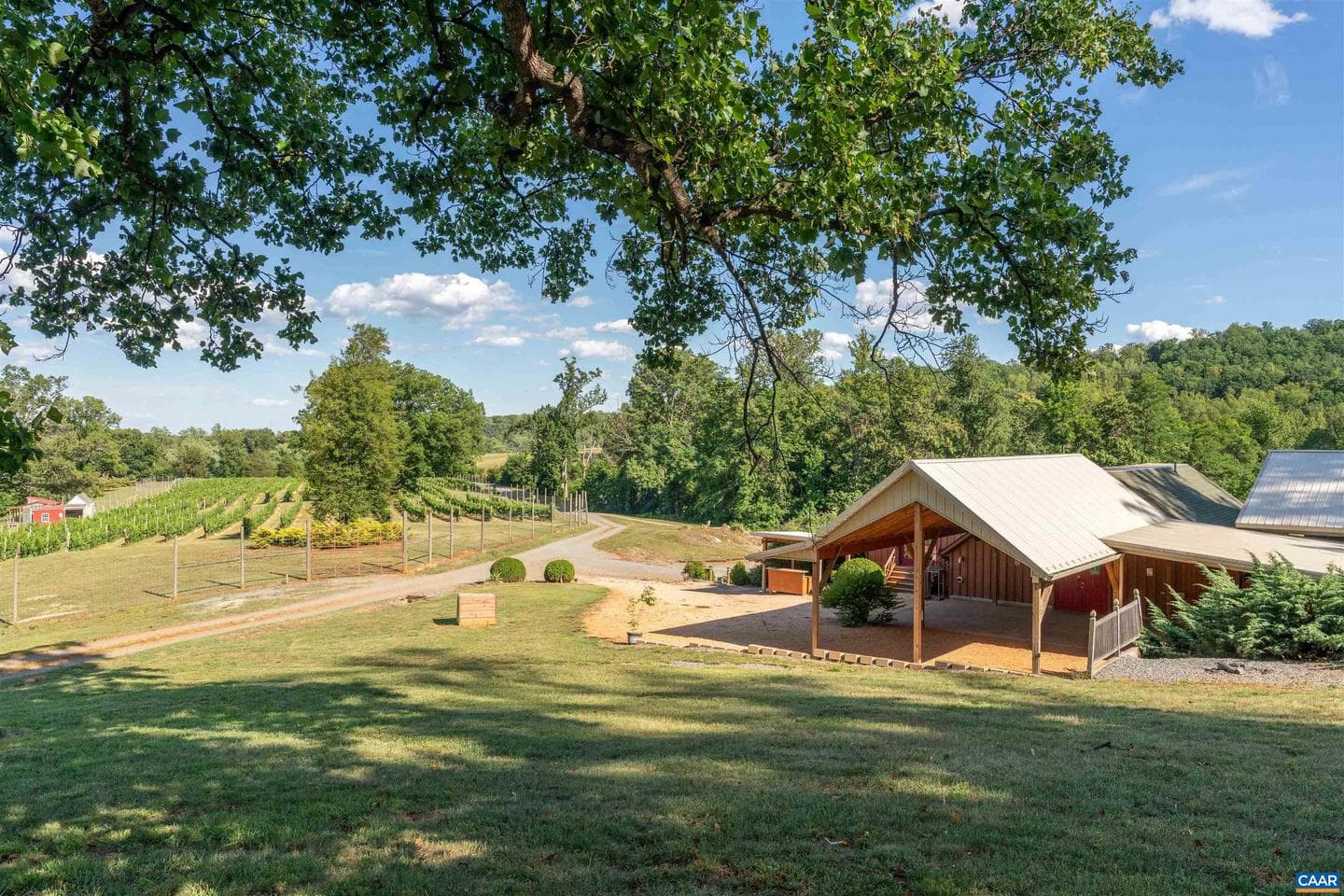 3613 Walnut Branch Ln photo 6