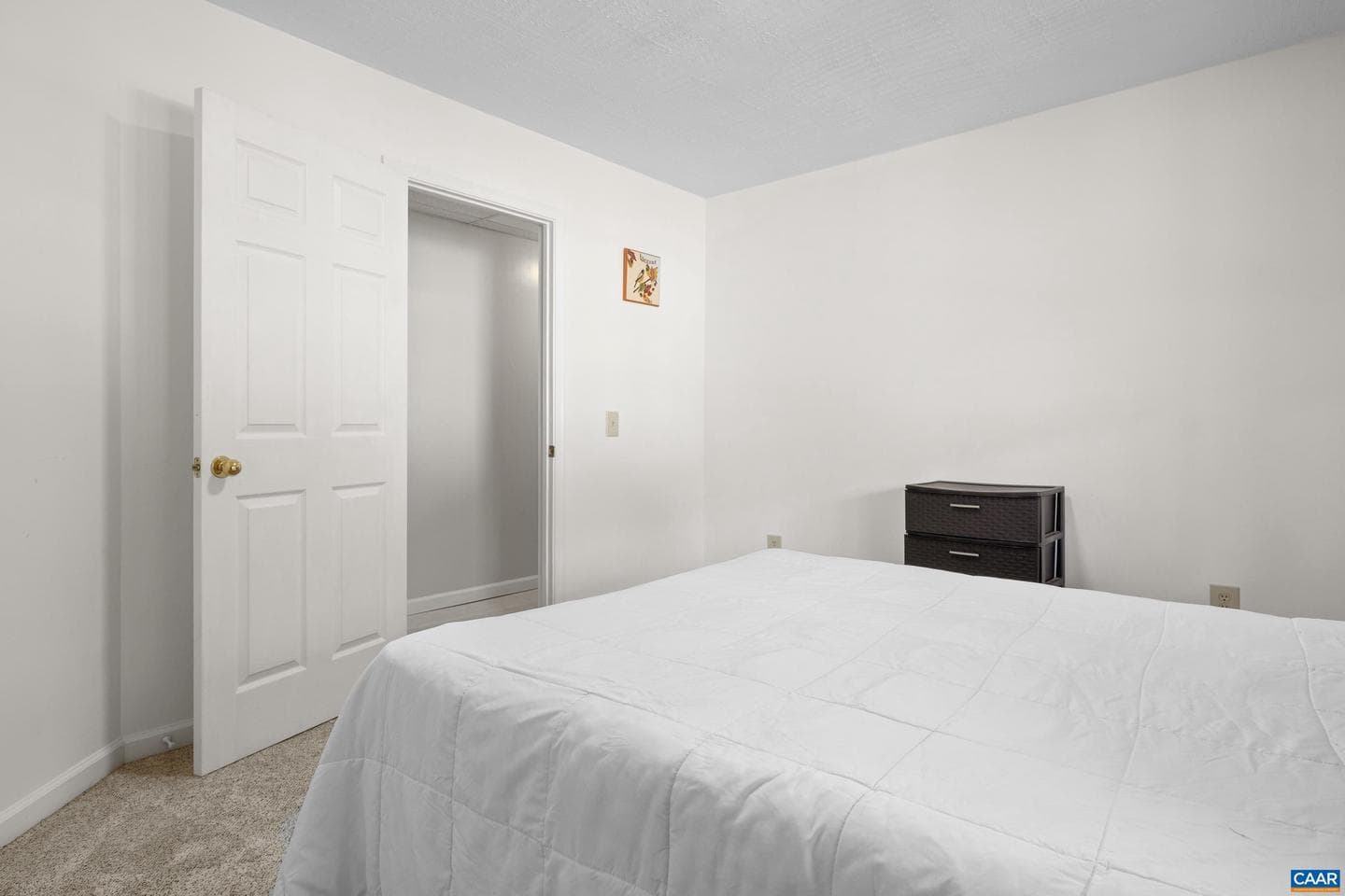 5393 Amicus Rd photo 61