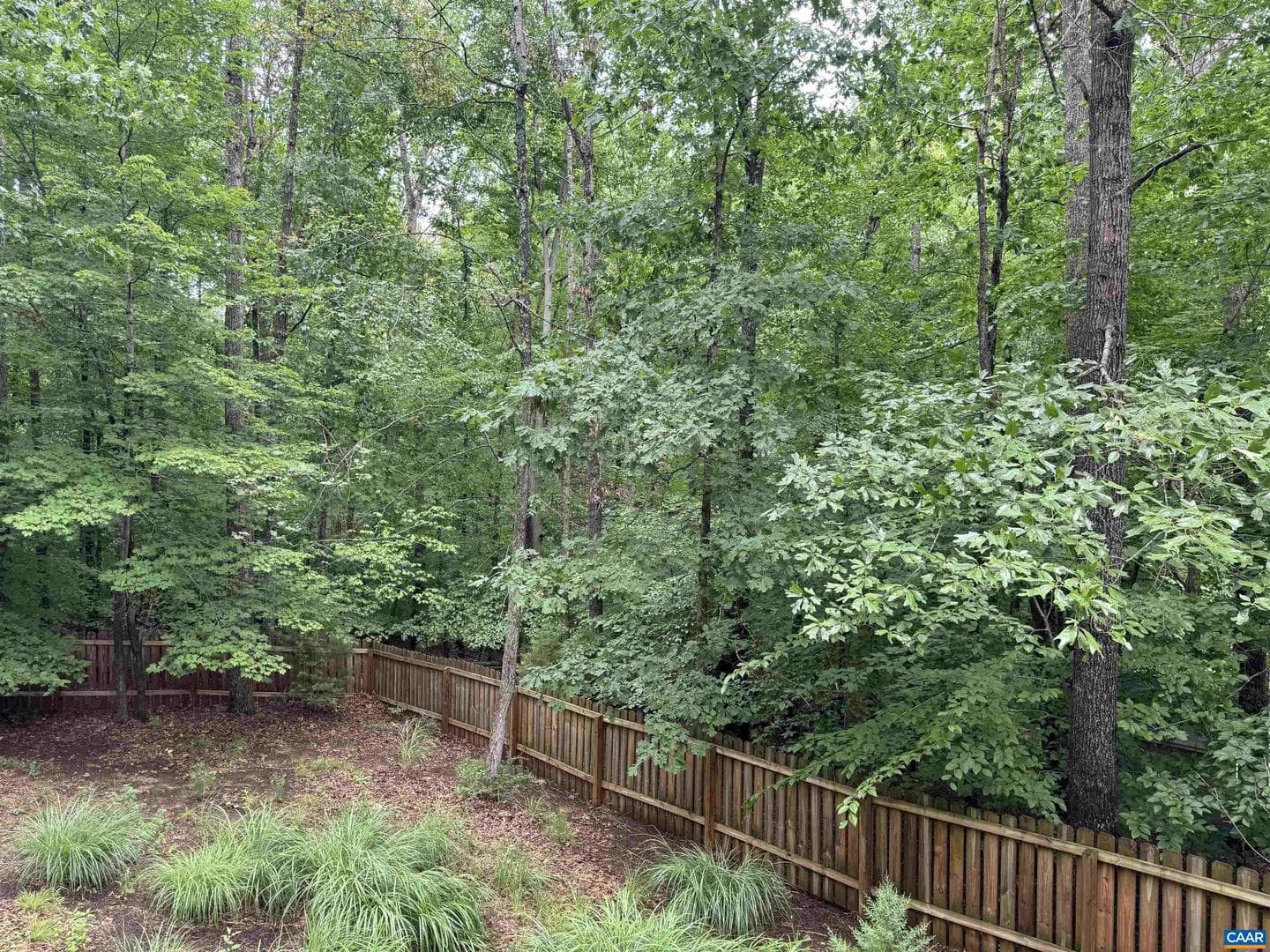 47 Bridlewood Dr photo 17