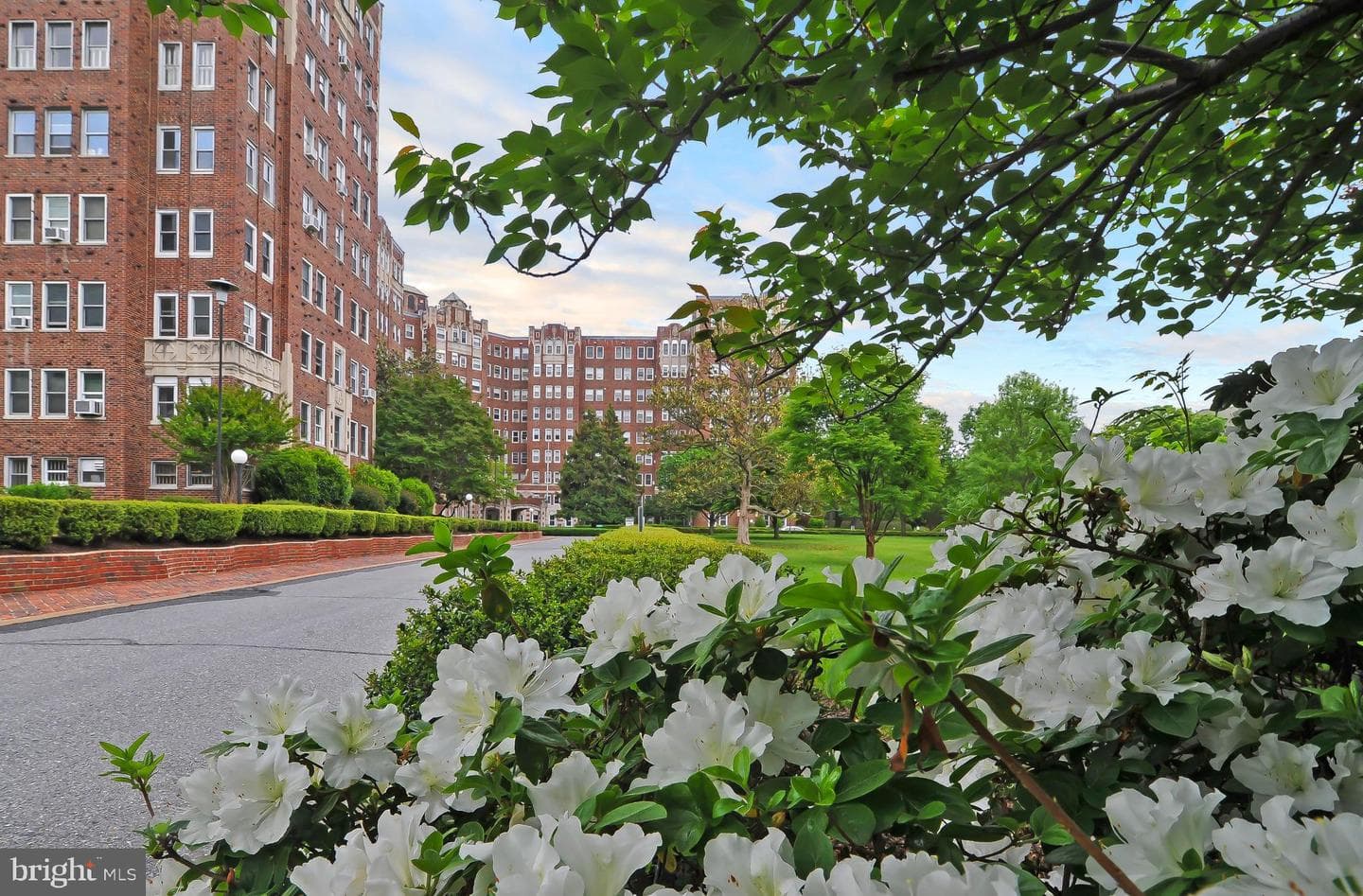 3601 Connecticut Ave NW #107 photo 45