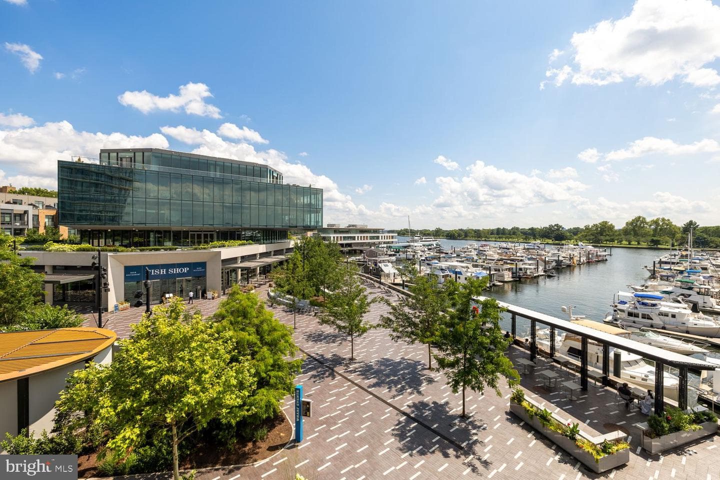 601 Wharf Street SW #301 photo 18