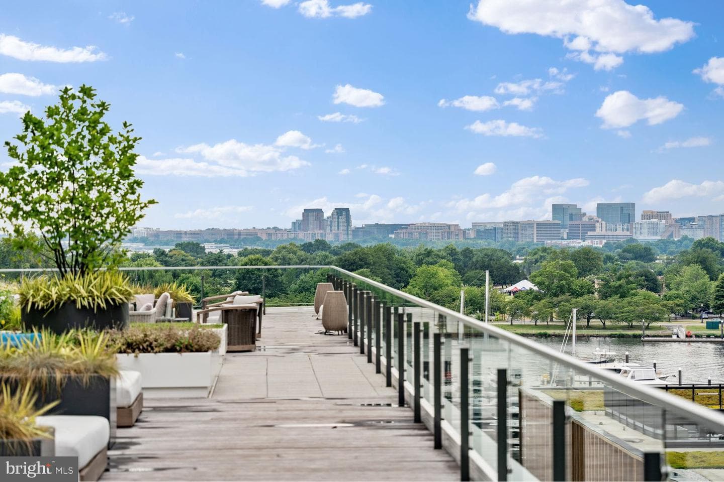 601 Wharf Street SW #301 photo 37