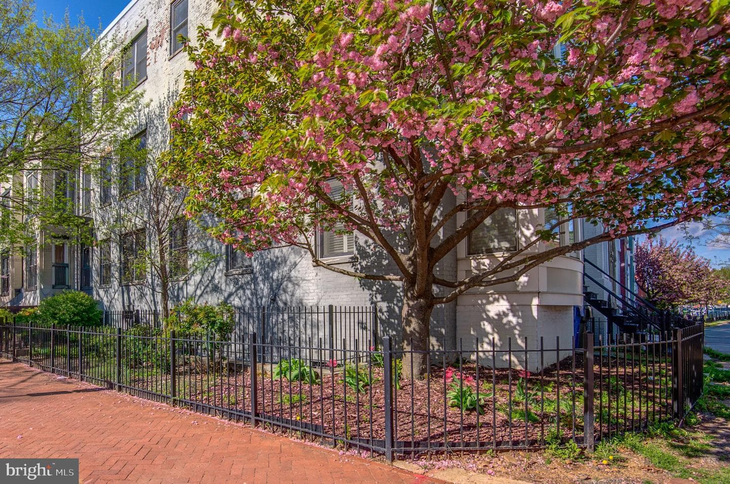 1240 4th Street NW #t photo 3