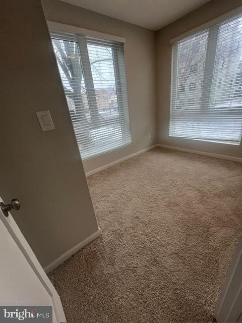 1307 K Street SE #101 photo 4