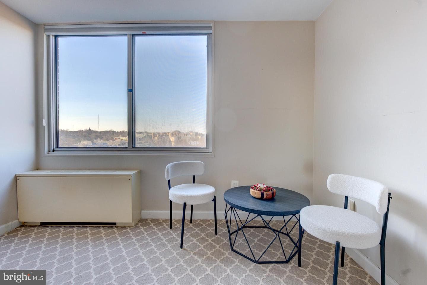 3001 Veazey Terrace NW #1320 photo 21
