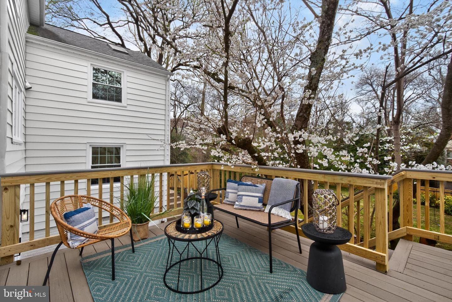 3637 Tilden Street NW photo 19