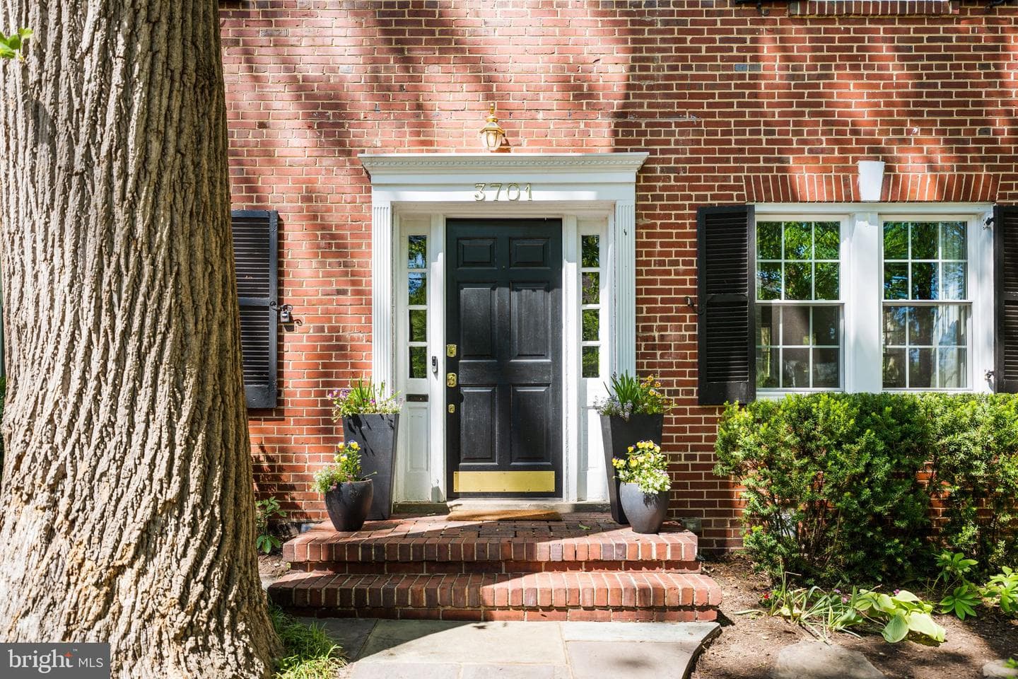 3701 Jocelyn Street NW photo 5