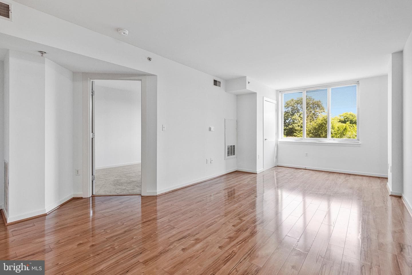 1000 New Jersey Avenue SE #321 photo 3