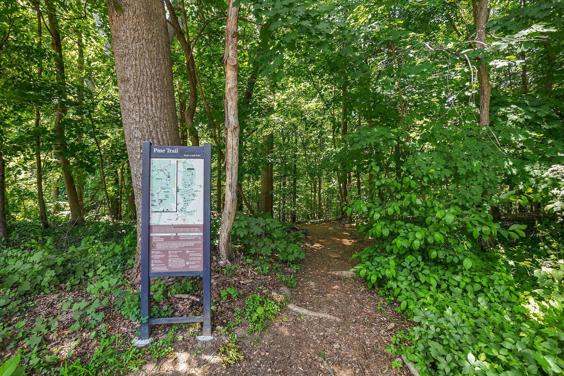 1219 Floral Street NW photo 64