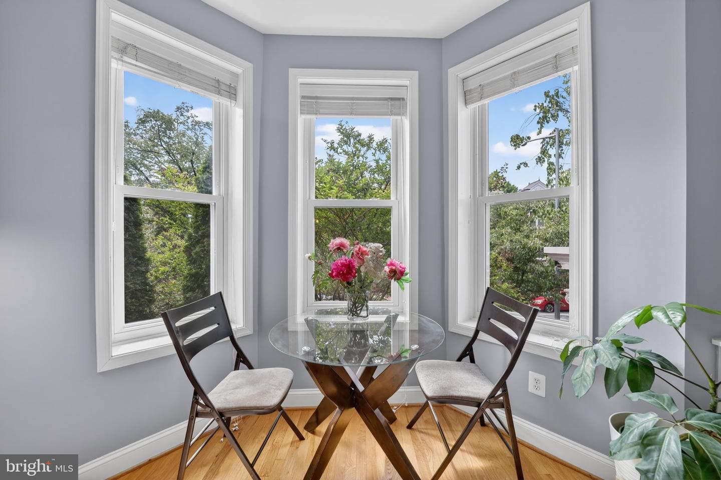 719 5th Street NE #3 photo 4