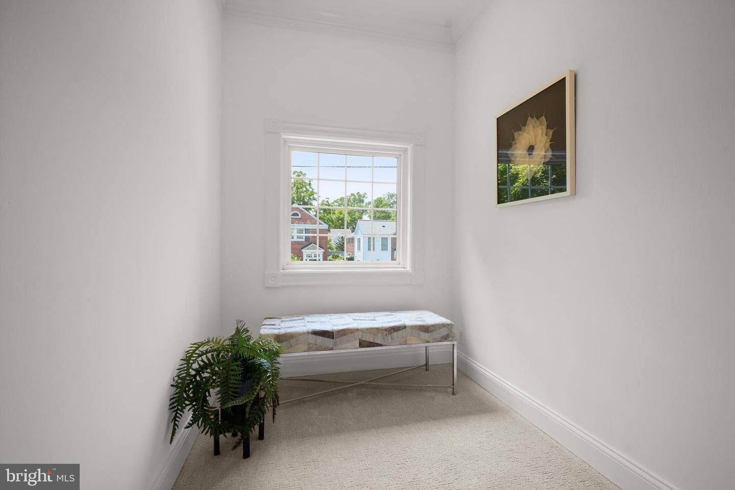 4539 Albemarle Street NW photo 25