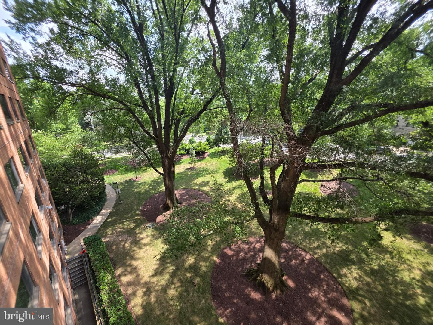 4201 Cathedral Avenue NW #513w photo 100