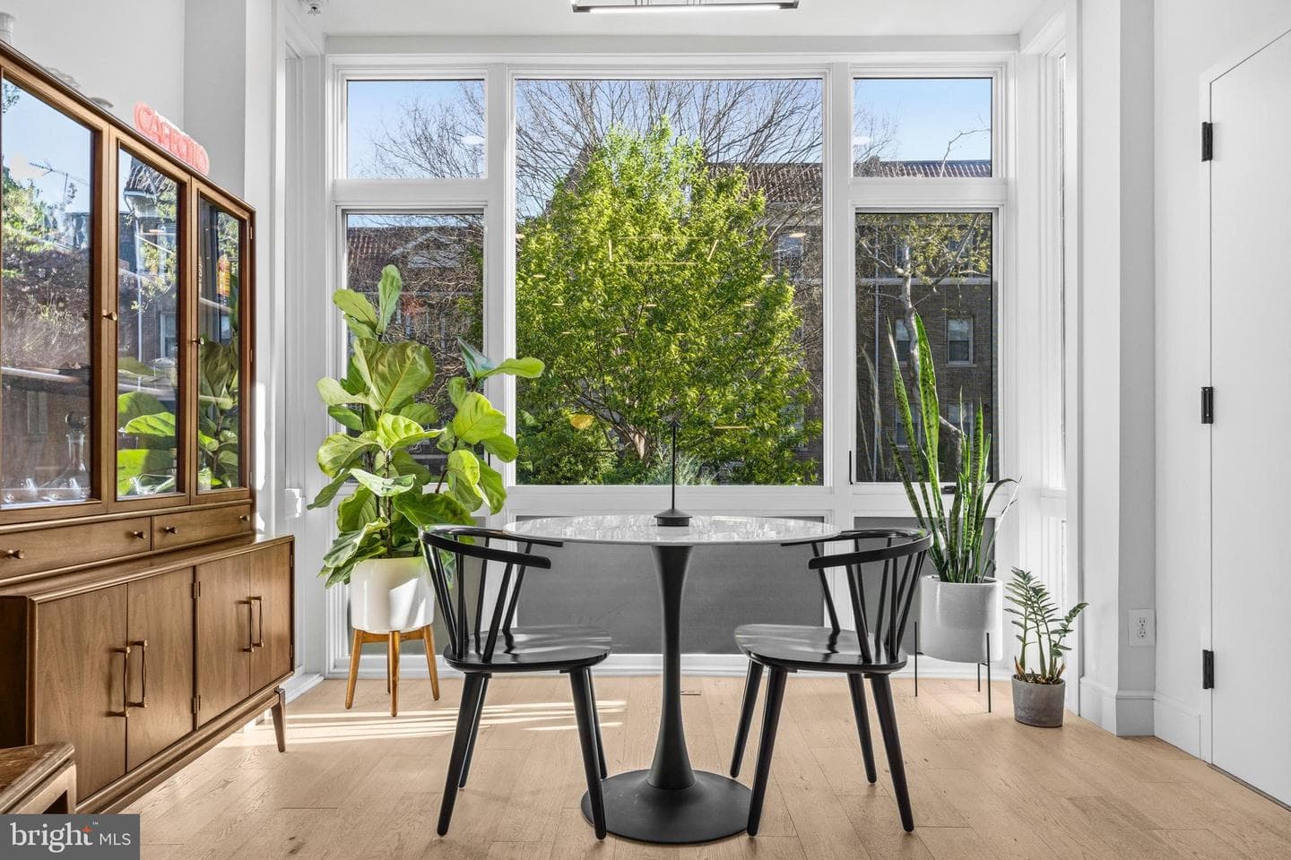 1729 T Street NW #3 photo 6